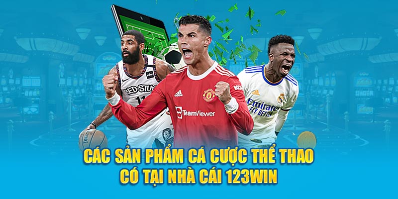 Các sản phẩm cá cược thể thao có tại nhà cái 123Win