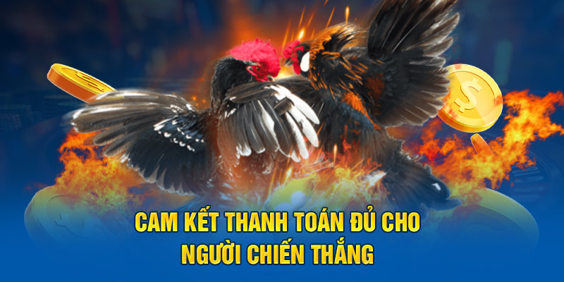 Cam kết thanh toán đủ cho người chiến thắng