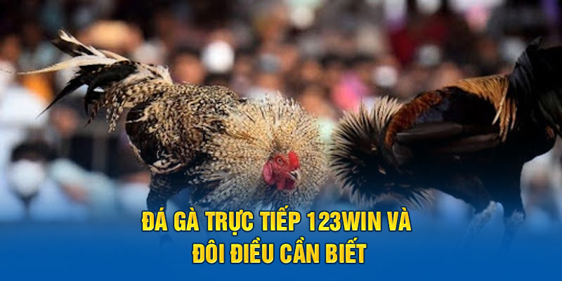 Đá gà trực tiếp 123win và đôi điều cần biết