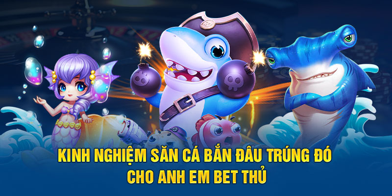 Kinh nghiệm săn cá bắn đâu trúng đó cho anh em bet thủ