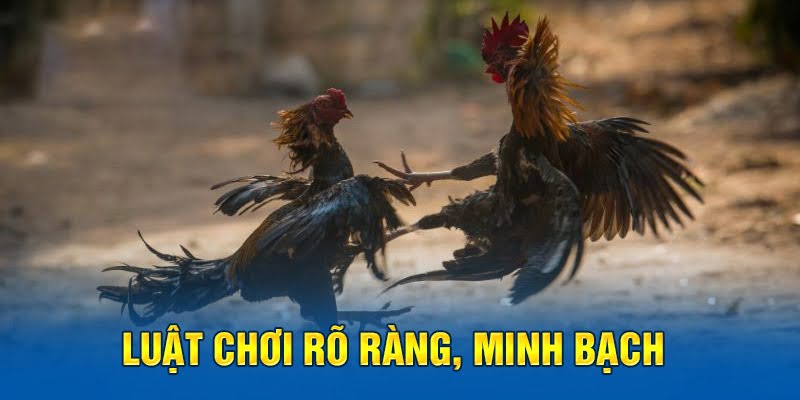 Luật chơi rõ ràng, minh bạch