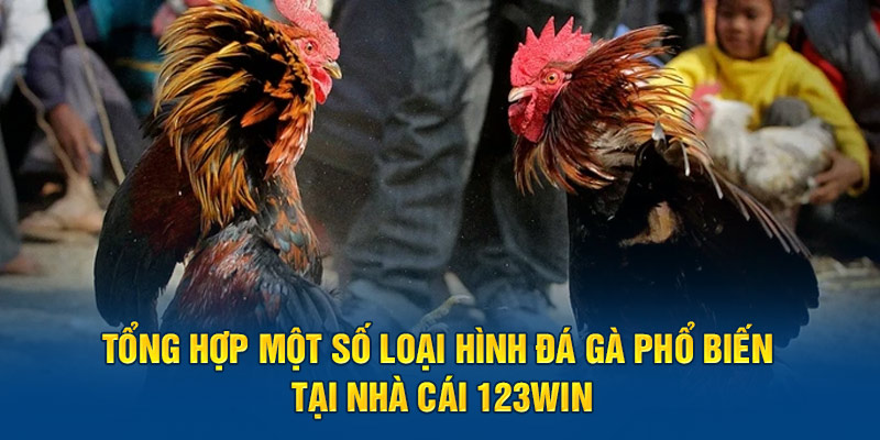 Tổng hợp một số loại hình đá gà phổ biến tại nhà cái 123win